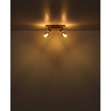 Globo - Akcentinis apšvietimas 2xE14/40W/230V
