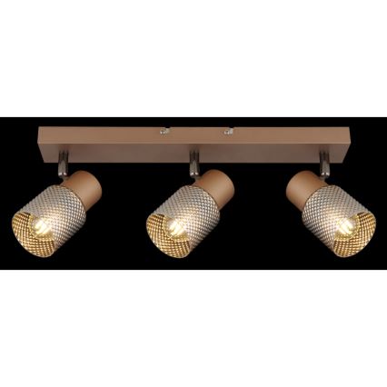 Globo - Akcentinis apšvietimas 3xE14/40W/230V