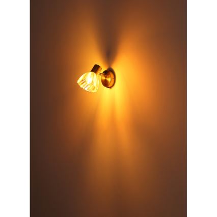 Globo - Sieninis akcentinis šviestuvas 1xE14/40W/230V auksas