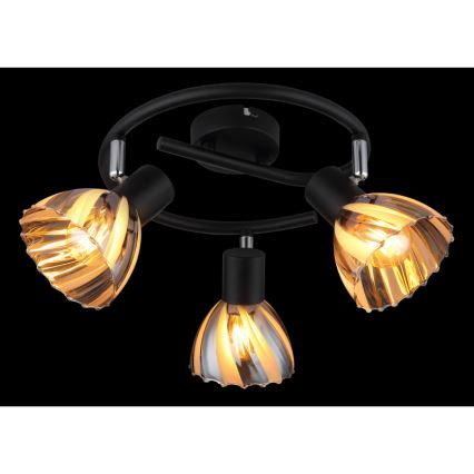 Globo - Akcentinis apšvietimas 3xE14/40W/230V juoda