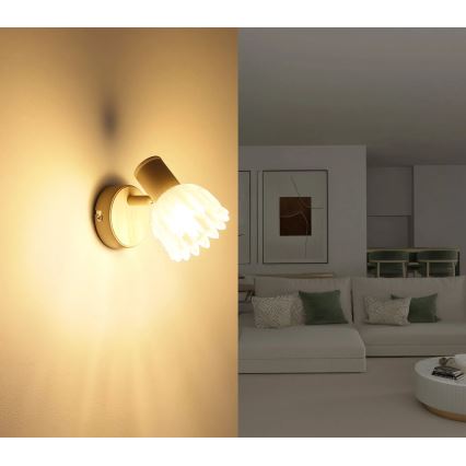 Globo - Sieninis taškinis šviestuvas 1xE14/40W/230V