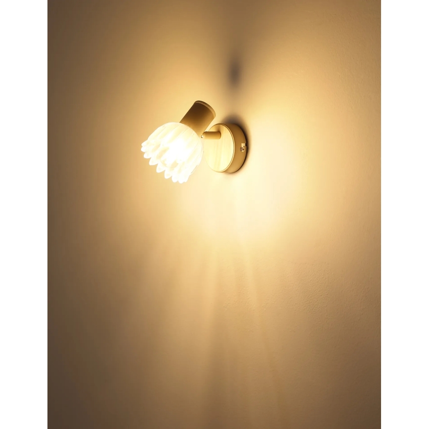 Globo - Sieninis taškinis šviestuvas 1xE14/40W/230V