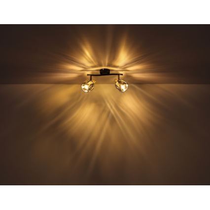 Globo  - Akcentinis šviestuvas 2xE14/40W/230V