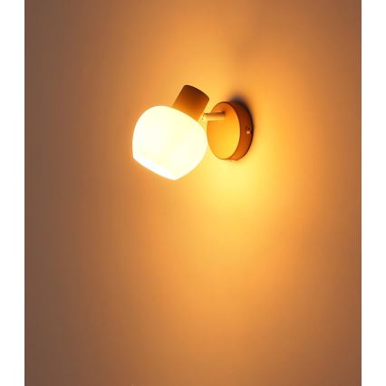 Globo - Sieninis taškinis šviestuvas 1xE27/40W/230V