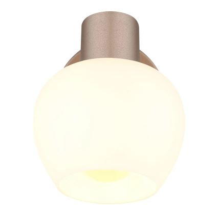 Globo - Sieninis taškinis šviestuvas 1xE27/40W/230V