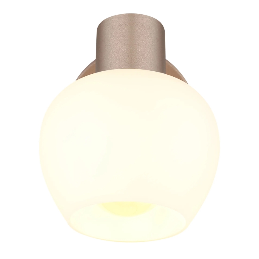 Globo - Sieninis taškinis šviestuvas 1xE27/40W/230V