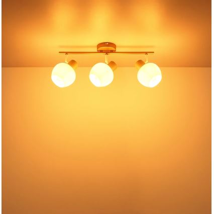 Globo - taškinis šviestuvas 3xE27/40W/230V