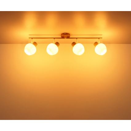 Globo - Taškinis šviestuvas 4xE27/40W/230V