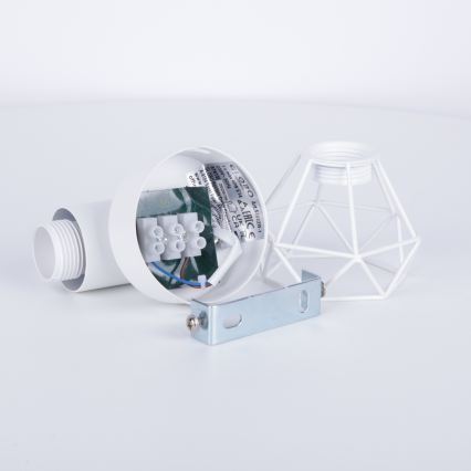 Globo - Sieninis kryptinis šviestuvas 1xE14/40W/230V