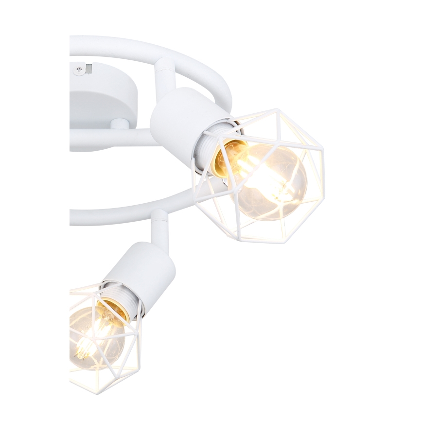 Globo - Akcentinis apšvietimas 3xE14/40W/230V