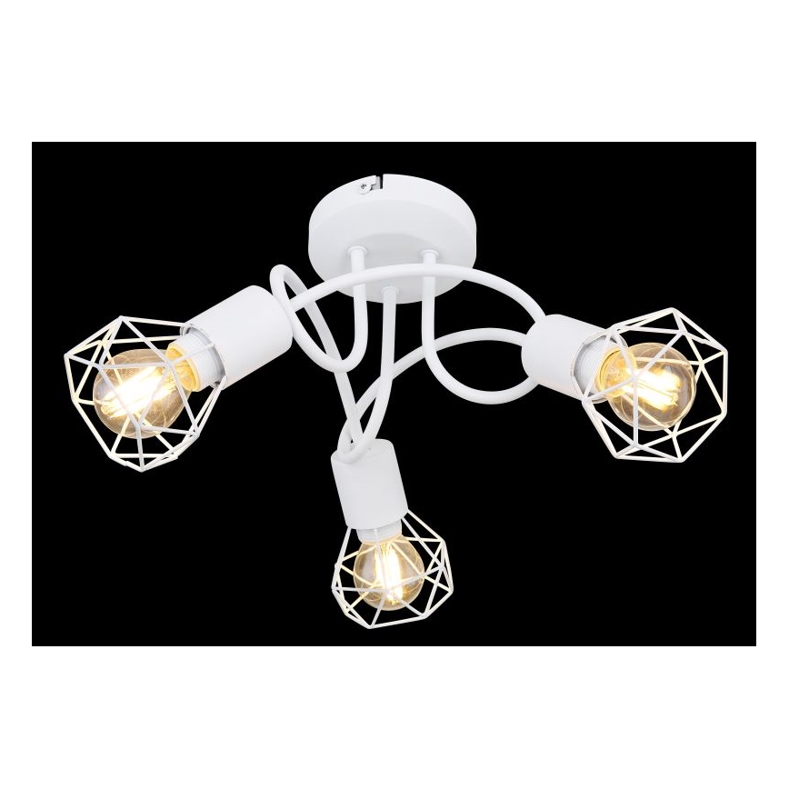 Globo - Tvirtinamas sietynas 3xE14/40W/230V