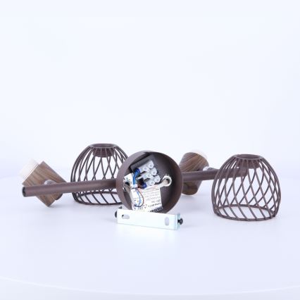 Globo - Akcentinis šviestuvas 2xE14/40W/230V