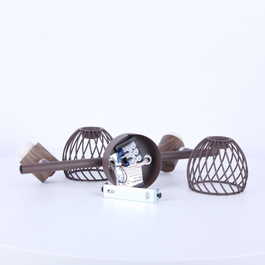 Globo - Akcentinis šviestuvas 2xE14/40W/230V