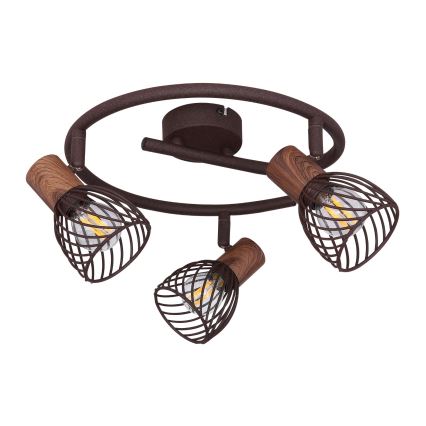 Globo - Akcentinis šviestuvas 3xE14/40W/230V