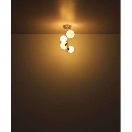 Globo - LED sietynas 4xG9/3W/230V matinis chromas