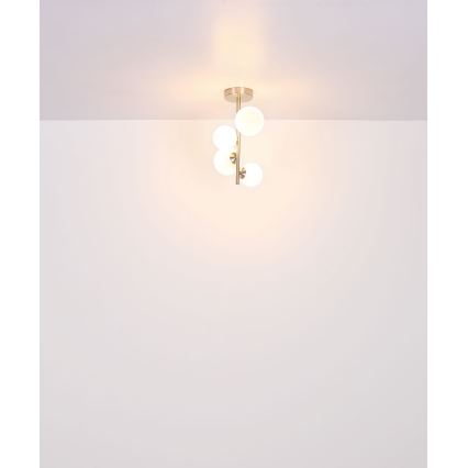 Globo - LED sietynas 4xG9/3W/230V matinis chromas