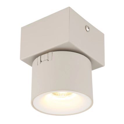Globo - sieninis LED taškinis šviestuvas LED/6W/230V
