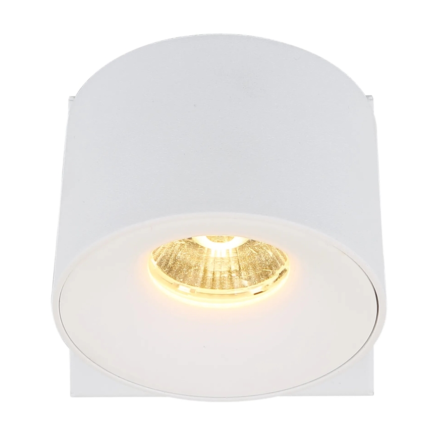 Globo - LED sieninis akcentinis šviestuvas LED/6W/230V balta