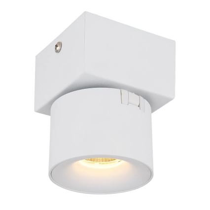 Globo - LED sieninis akcentinis šviestuvas LED/6W/230V balta