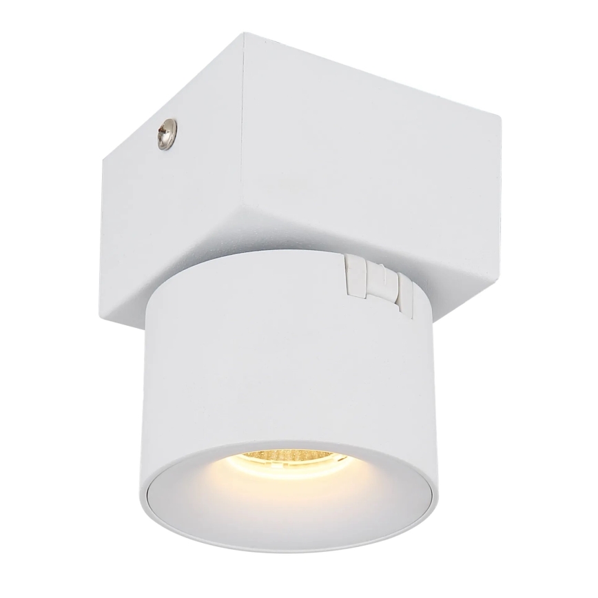 Globo - LED sieninis akcentinis šviestuvas LED/6W/230V balta