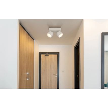 Globo - LED taškinis šviestuvas 2xLED/6W/230V