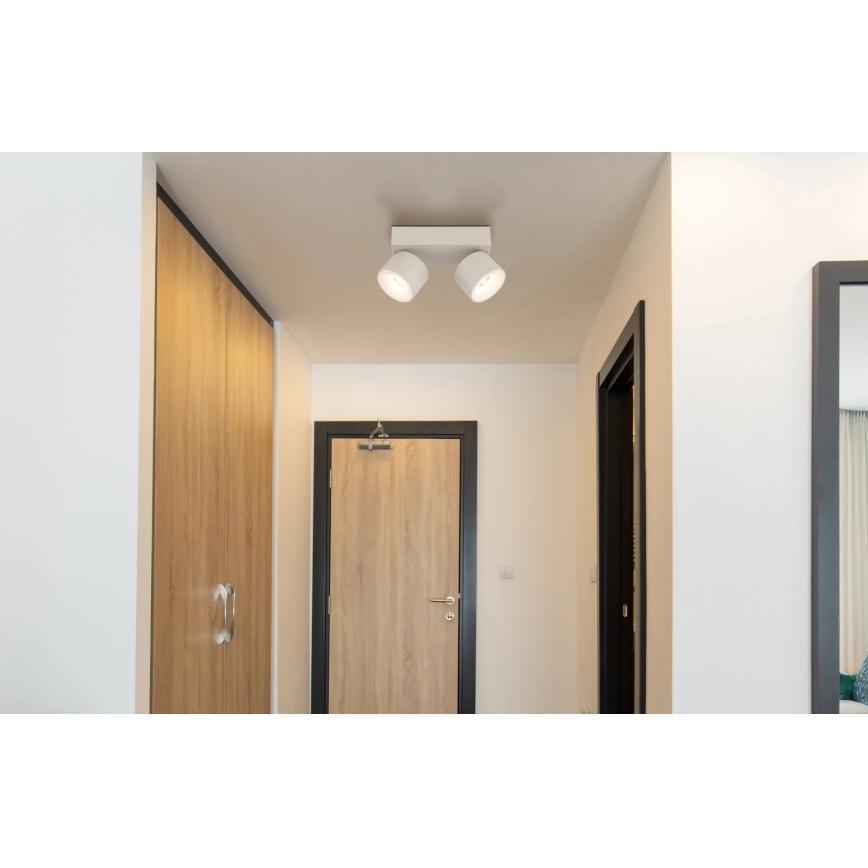 Globo - LED taškinis šviestuvas 2xLED/6W/230V