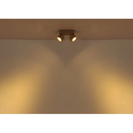 Globo - LED taškinis šviestuvas 2xLED/6W/230V