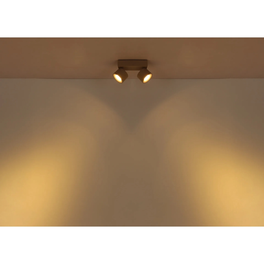 Globo - LED taškinis šviestuvas 2xLED/6W/230V