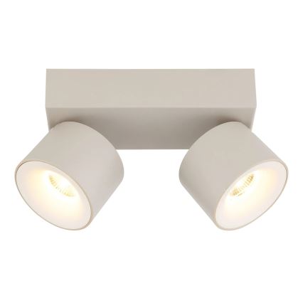 Globo - LED taškinis šviestuvas 2xLED/6W/230V