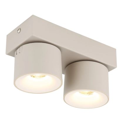 Globo - LED taškinis šviestuvas 2xLED/6W/230V