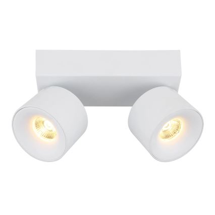 Globo - LED akcentinis šviestuvas 2xLED/6W/230V balta