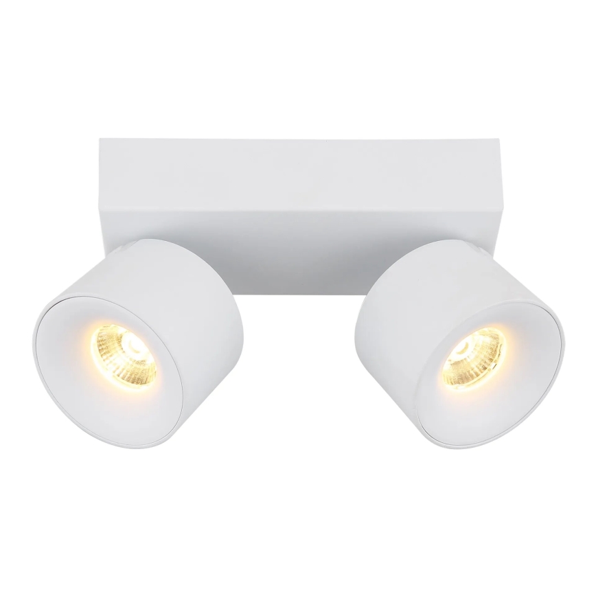 Globo - LED akcentinis šviestuvas 2xLED/6W/230V balta