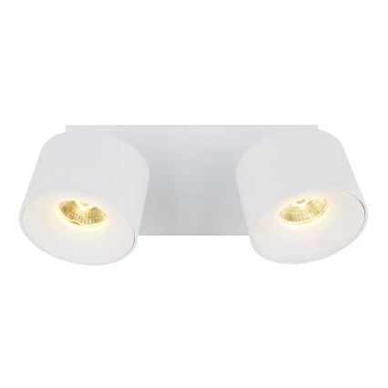 Globo - LED akcentinis šviestuvas 2xLED/6W/230V balta