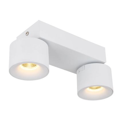 Globo - LED akcentinis šviestuvas 2xLED/6W/230V balta