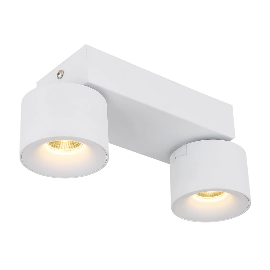 Globo - LED akcentinis šviestuvas 2xLED/6W/230V balta