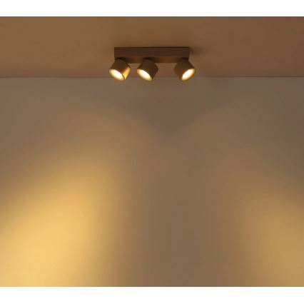 Globo - LED kryptinis šviestuvas 3xLED/6W/230V