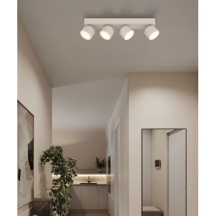 Globo - LED taškinis šviestuvas 4xLED/6W/230V
