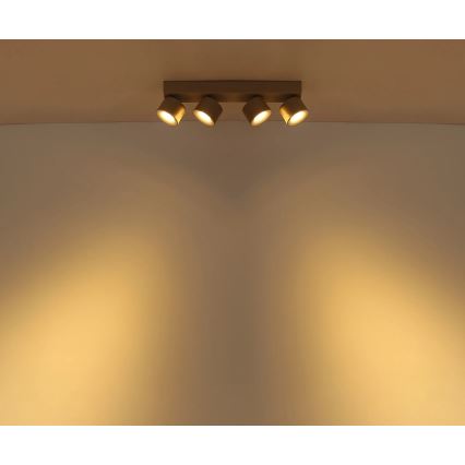 Globo - LED taškinis šviestuvas 4xLED/6W/230V