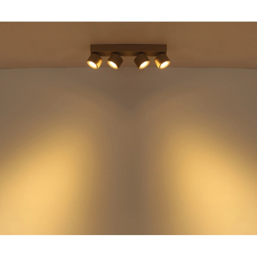 Globo - LED taškinis šviestuvas 4xLED/6W/230V