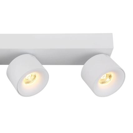 Globo - LED akcentinis šviestuvas 4xLED/6W/230V balta