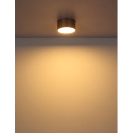 Globo - LED lubinis šviestuvas LED/12W/230V Ø 15 cm 3000K smėlio spalvos