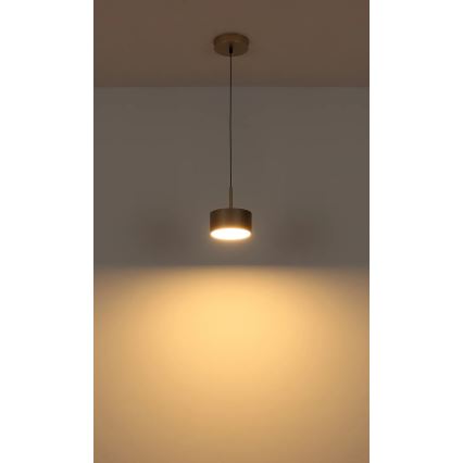 Globo - LED liustra ant laido LED/12W/230V 3000K, skersmuo 15 cm, žalvaris