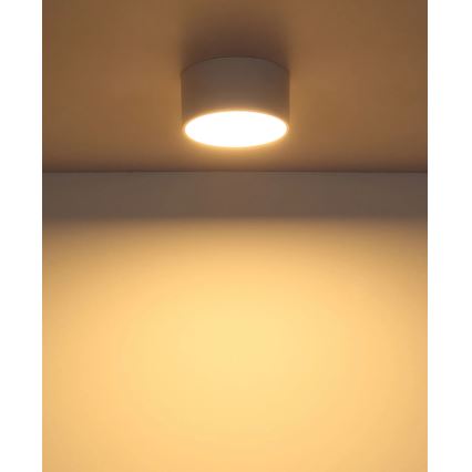 Globo – LED lubinis šviestuvas 12 W, 230 V, 3000 K, Ø 15 cm, baltas