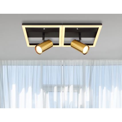 Globo - LED lubinis šviestuvas 2xGU10/5W/230V + LED/22W/230V