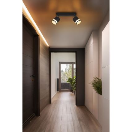 Globo - LED akcentinis šviestuvas 2xGX53/7W/230V 3000K