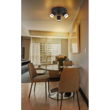 Globo - LED akcentinis šviestuvas 3xGX53/7W/230V 3000K