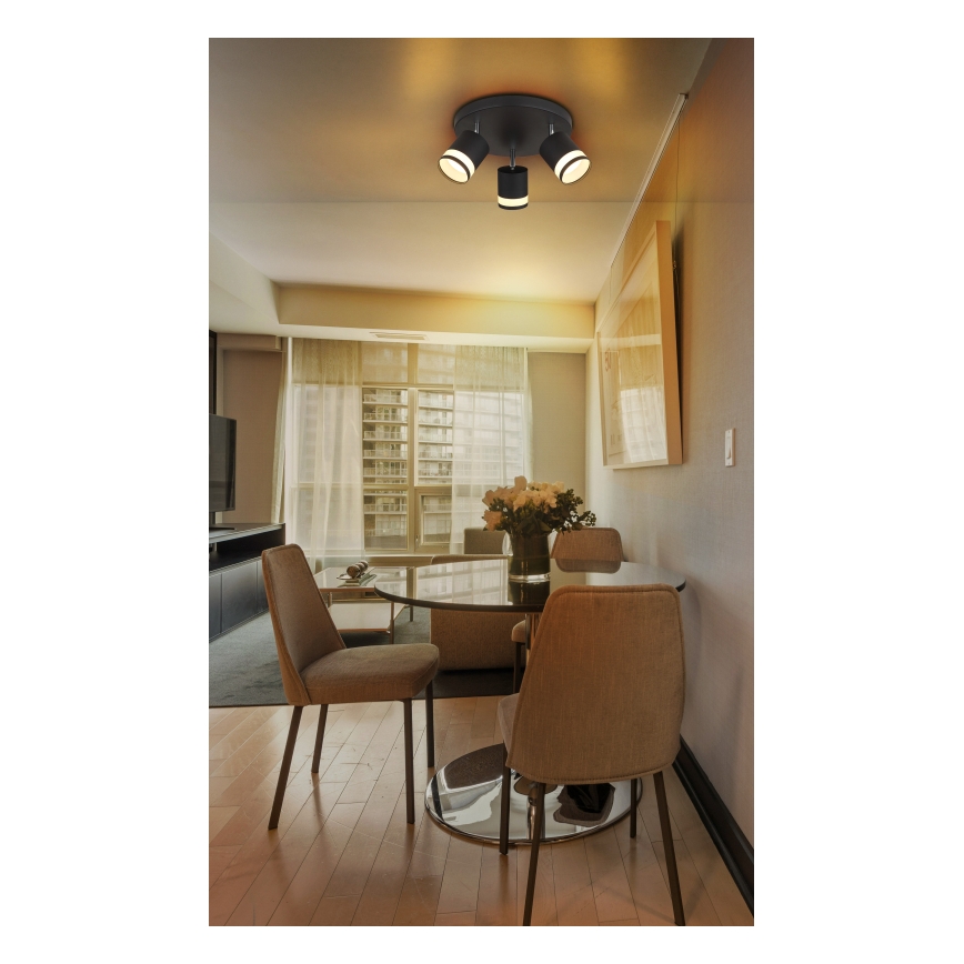 Globo - LED akcentinis šviestuvas 3xGX53/7W/230V 3000K