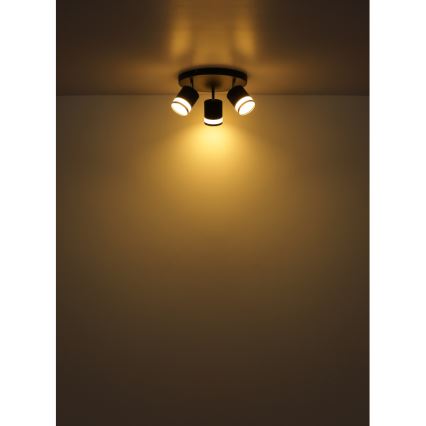 Globo - LED akcentinis šviestuvas 3xGX53/7W/230V 3000K