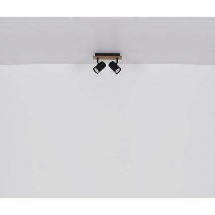 Globo - Akcentinis apšvietimas 2xGU10/35W/230V