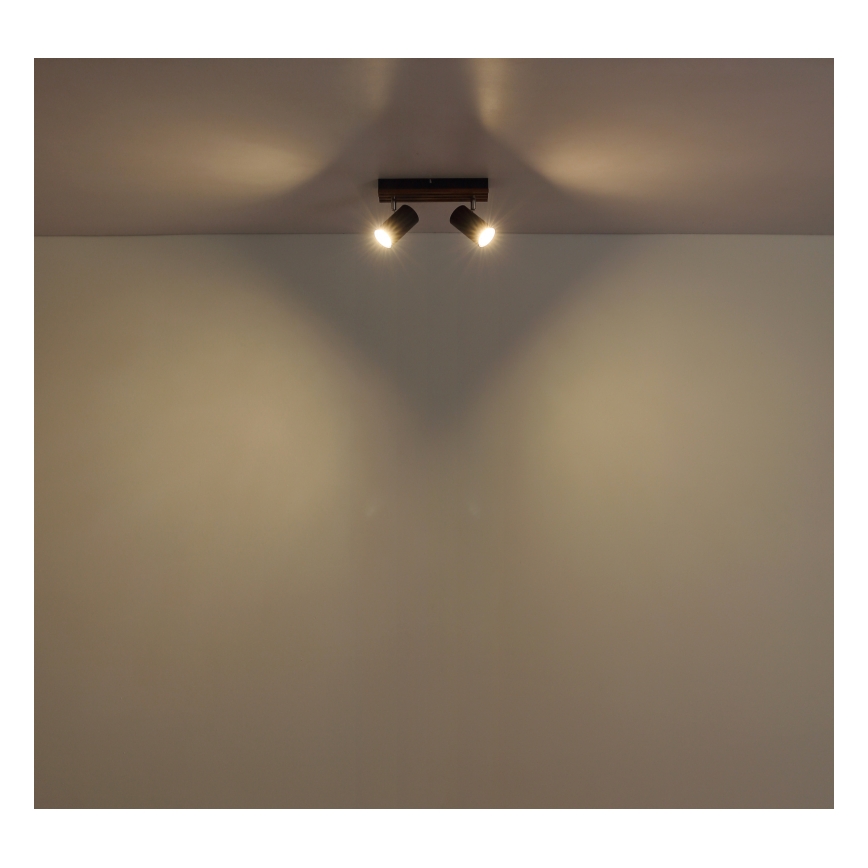 Globo - Akcentinis apšvietimas 2xGU10/25W/230V juoda
